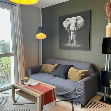 Le Colorado - Appartement Proche Airbus كولومييه المظهر الخارجي الصورة